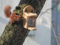 jeden Tag besuchen sie nun unseren Garten -