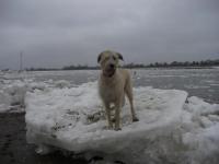 Winter an der Elbe