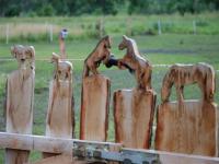 ein toller Zaun -Handarbeit - von meiner Freundin  selber gebaut -