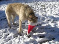 wo ist denn nun Weihnachten??