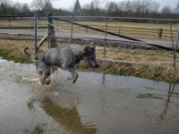 Grizella findet Wasser toll