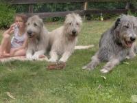 Picknick im Garten mit 