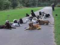 Hundeschule waren wir  auch, -waren tolle Tage -